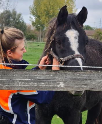 dierenpolitie