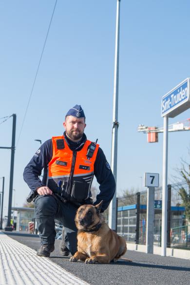 Hond